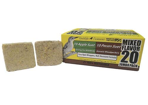 Wildlife Sciences apple flavor suet cake texture close-up attracting birds