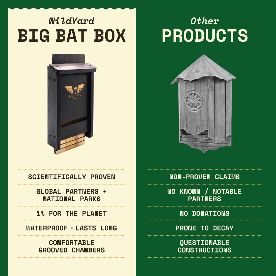 WildYard bat box placed near trees showing habitat-friendly placement for wildlife