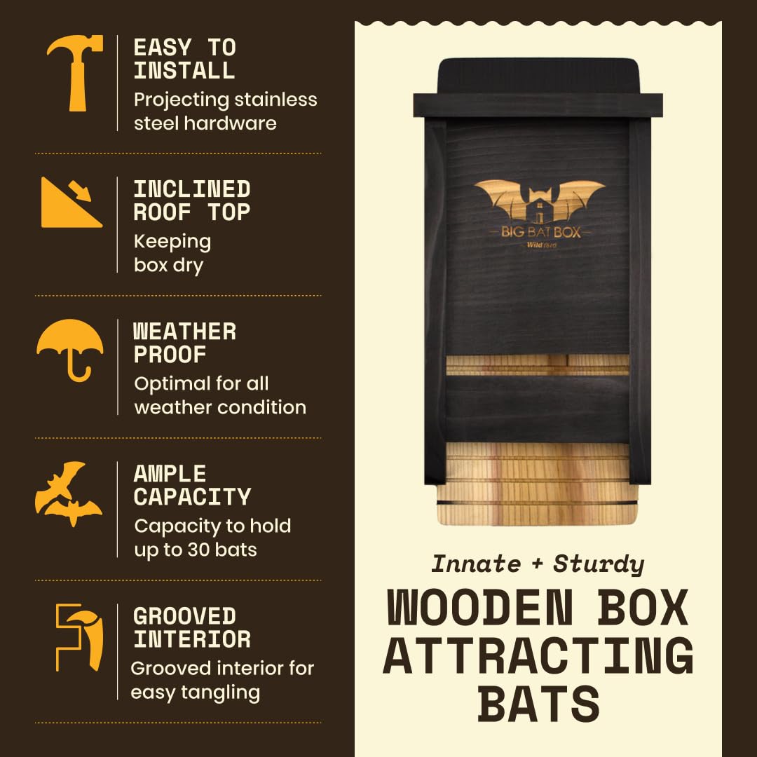 WildYard bat box mounted on pole illustrating easy installation and elevated safety