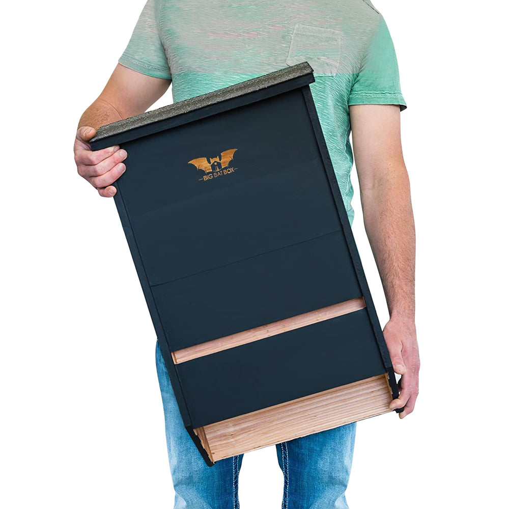 WildYard bat house front view showing three-chamber design and durable finish benefit: clear colony shelter