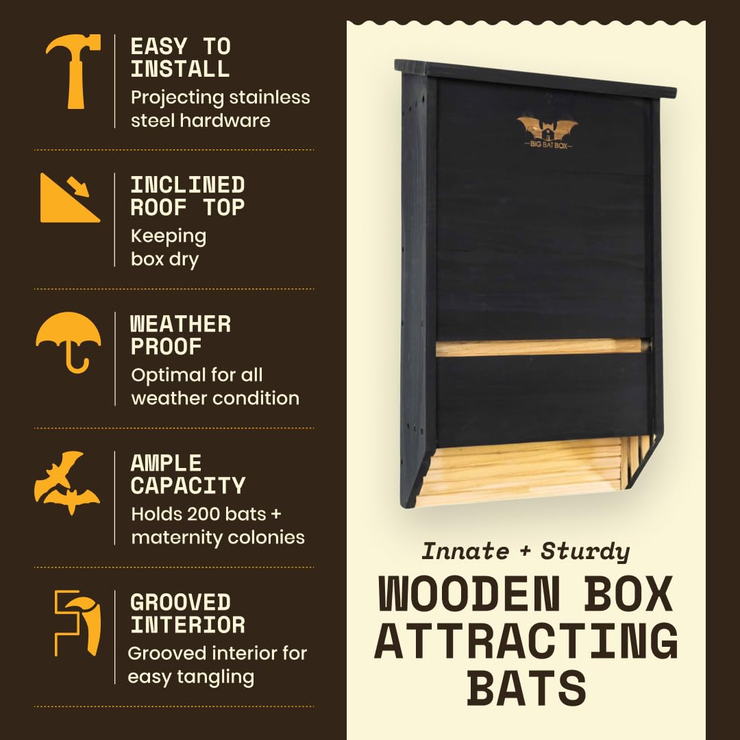 WildYard bat house interior chambers close-up showing textured surfaces benefit: secure bat grip