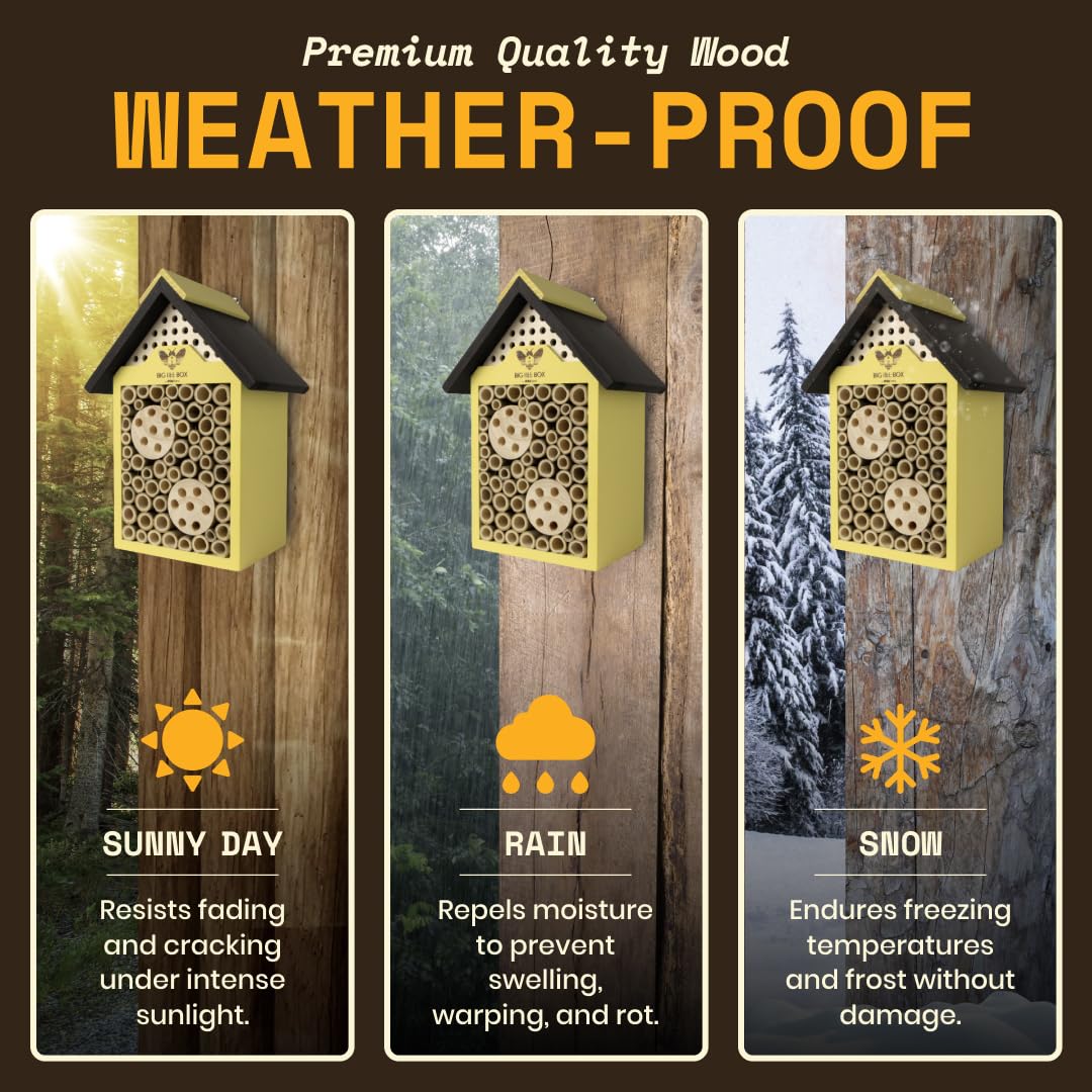 WildYard bee house hung in a garden boosting pollinator visits