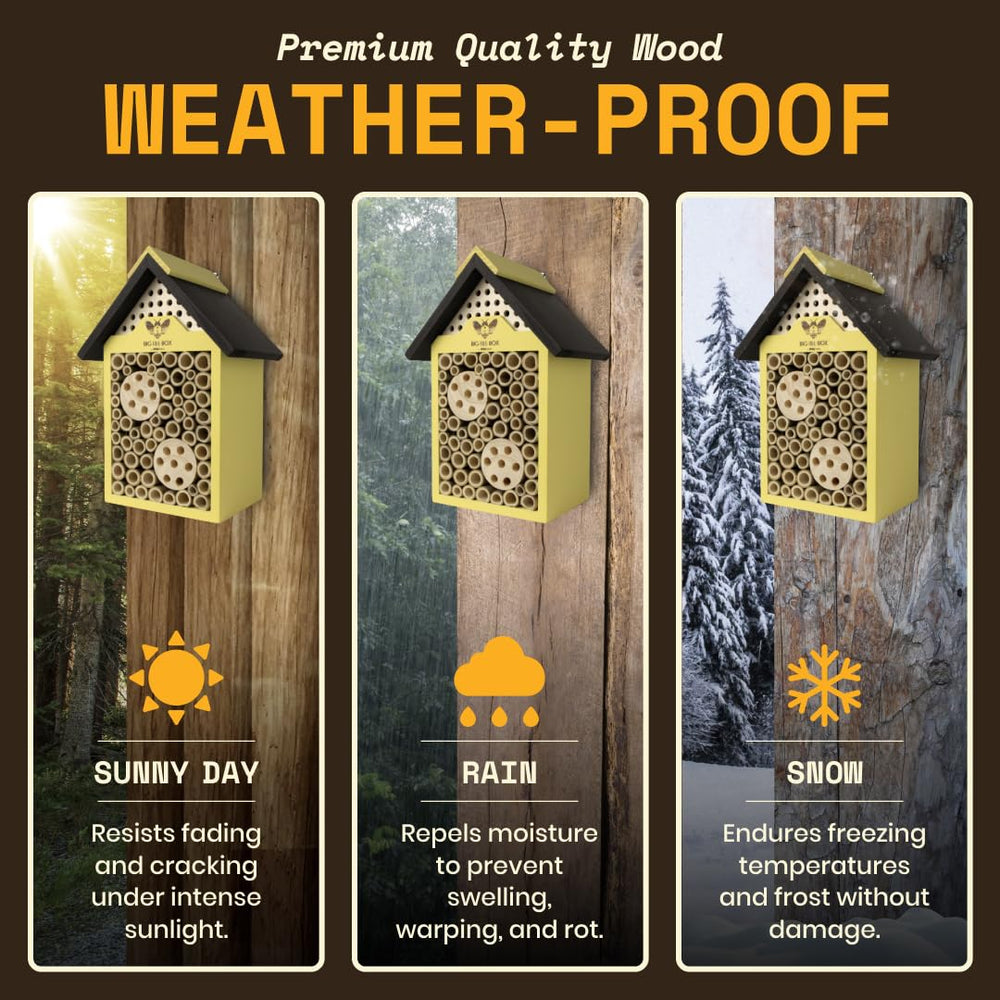 WildYard bee house hung in a garden boosting pollinator visits