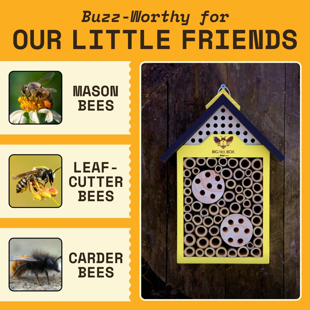 WildYard bee house held next to hand illustrating compact scale