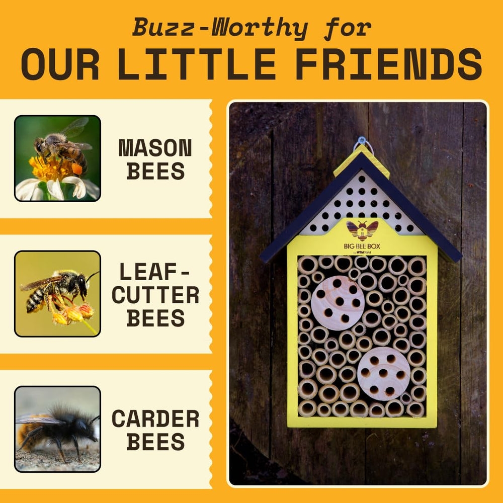 WildYard bee house held next to hand illustrating compact scale
