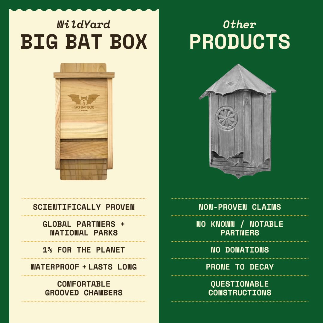 WildYard BIGBATBOX in backyard garden demonstrating natural pest control and aesthetic appeal