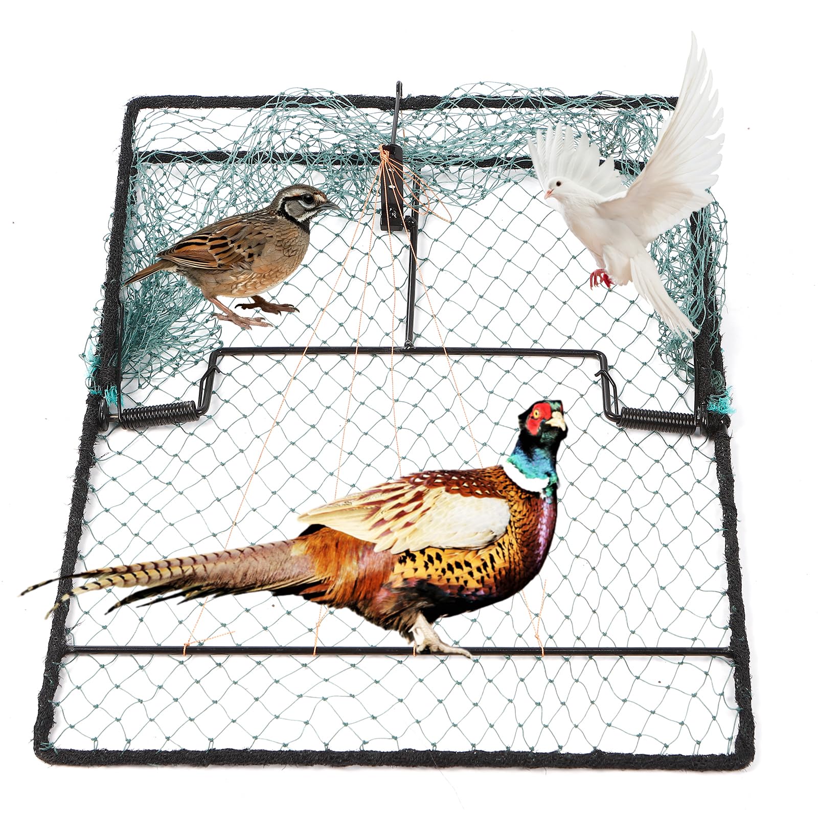 WillMesh front packaging shot showing compact humane trap and clear labeling benefit: easy identification
