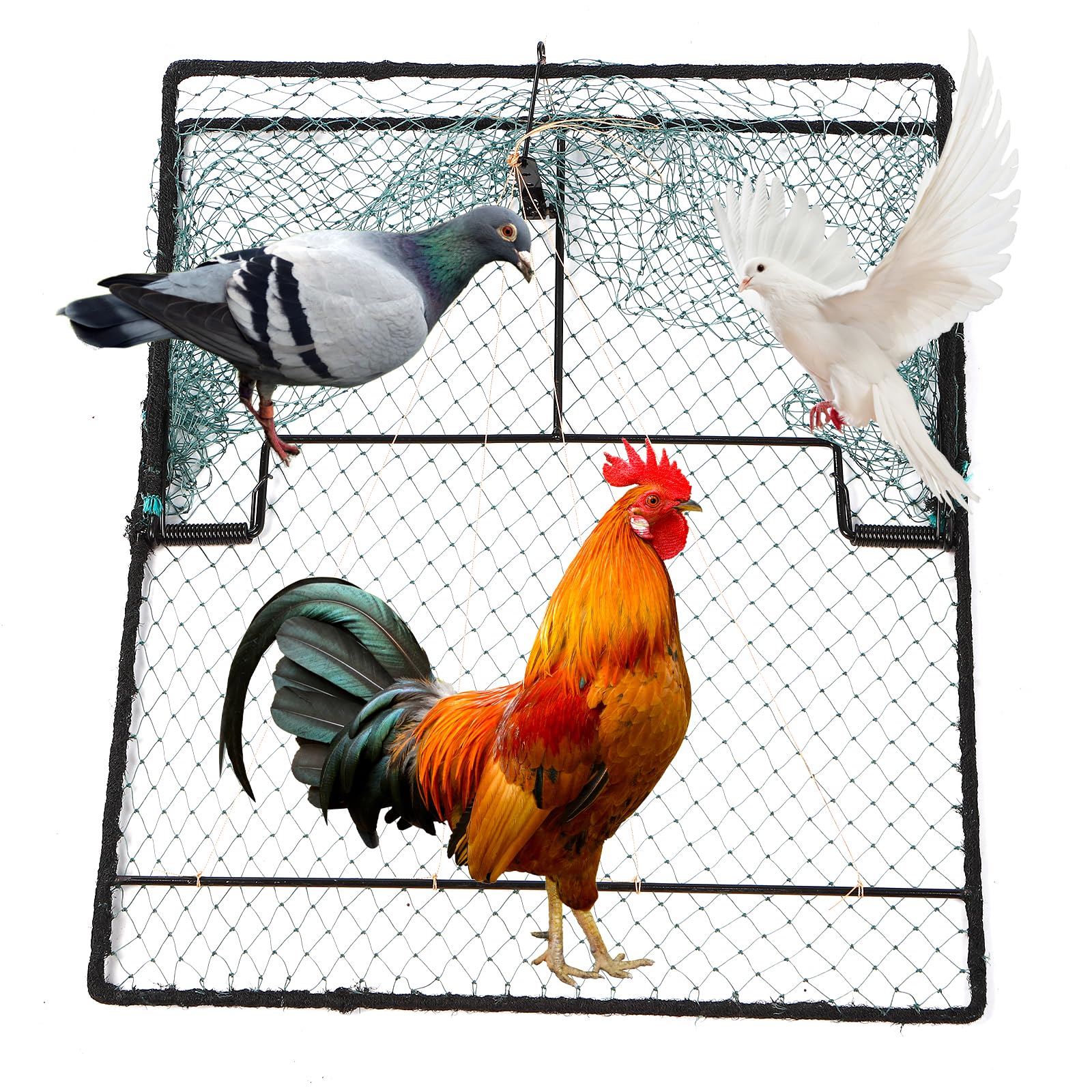 WillMesh front view of trap showing entrance and benefit of humane capture