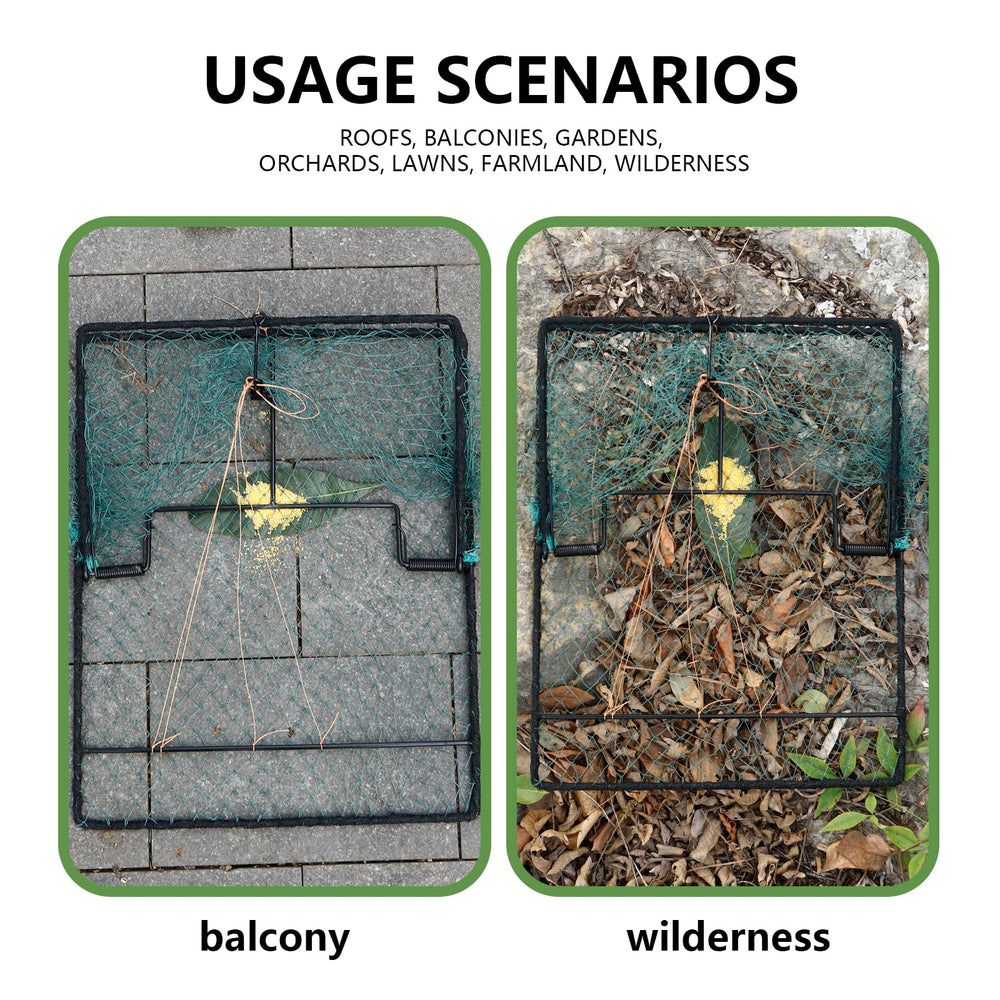 WillMesh trap placed in backyard with bait showing discreet in-use setup and effective capture benefit