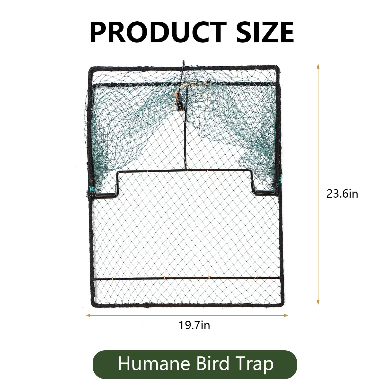 WillMesh close-up of internal funnel guiding birds in for safer containment