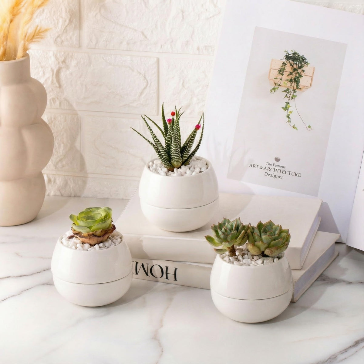 Willowy front view of three white ceramic succulent pots showing clean modern look and aesthetic benefit