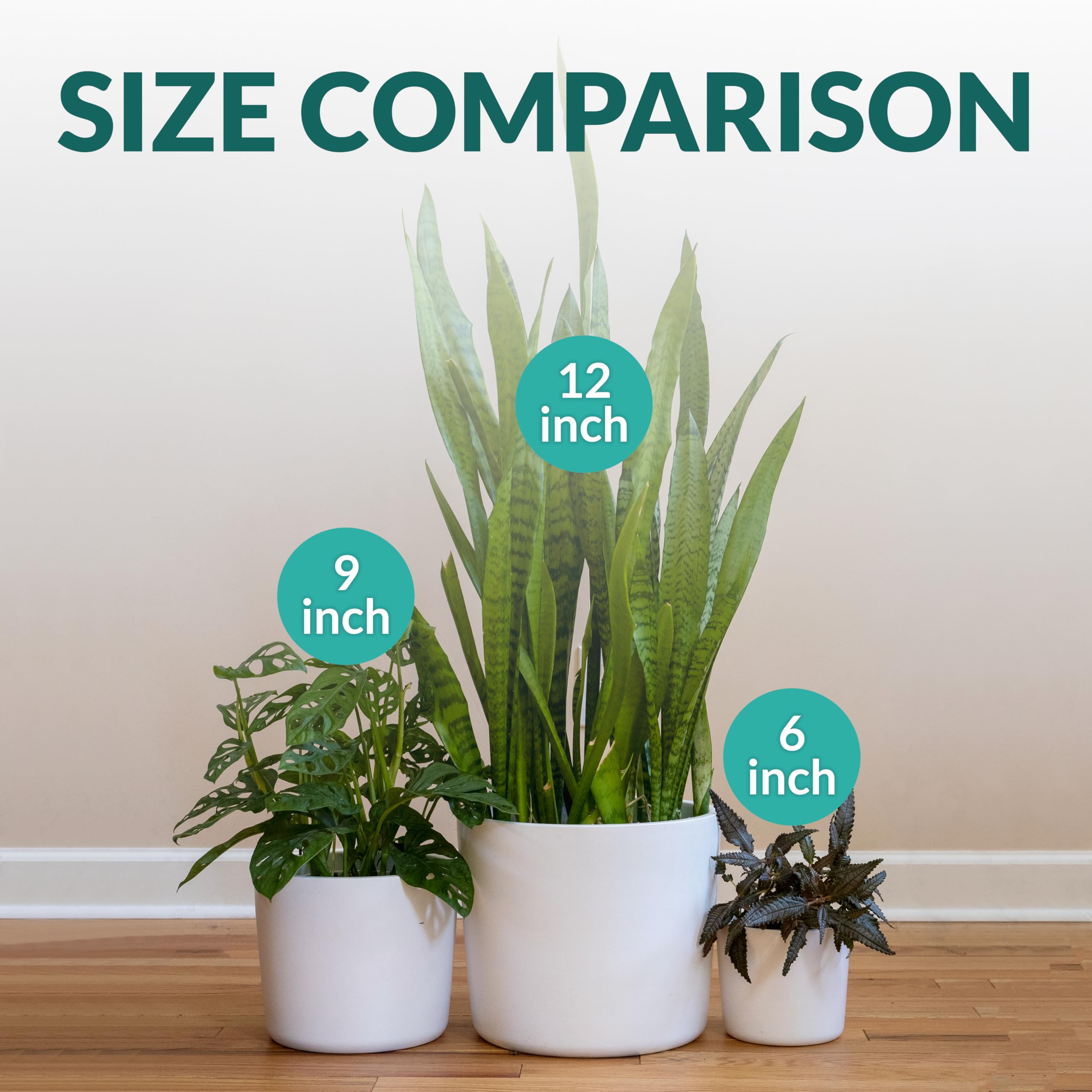 Willowy planter in gift-ready packaging showing secure shipment and replacement assurance