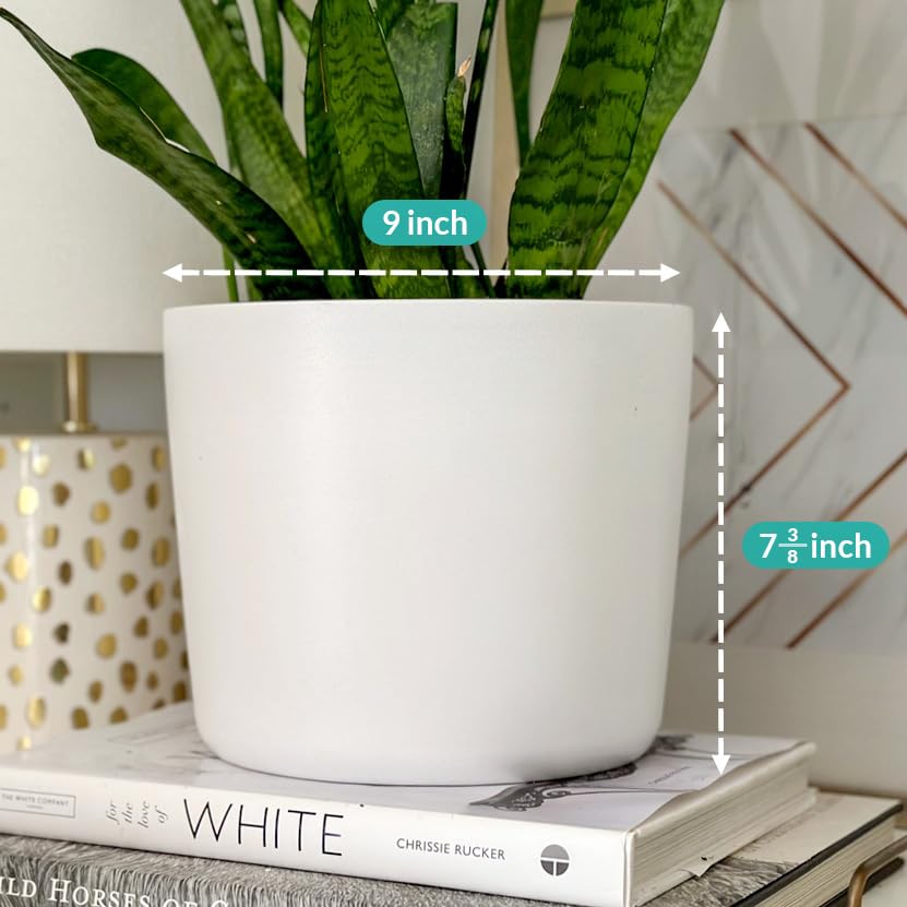 Willowy close-up of matte glaze texture highlighting breathable finish and scratch resistance