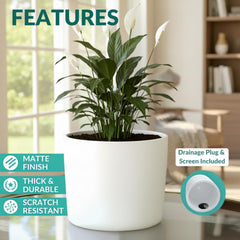 Willowy planter holding pothos on a shelf showing decorative appeal and space-saving fit