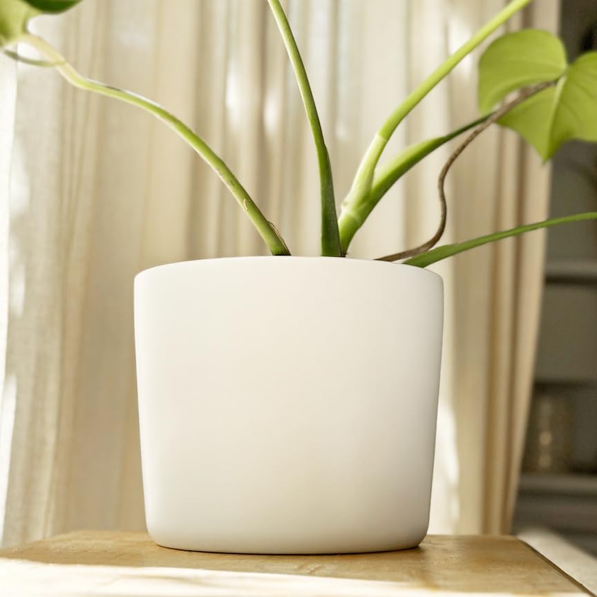 Willowy planter next to book and mug showing 9-inch scale for medium indoor plants