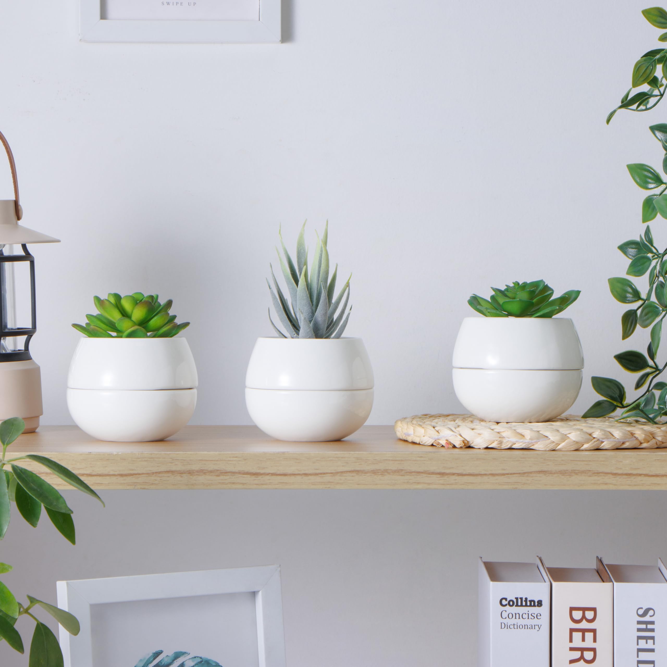 Willowy pot next to a coin for scale showing compact 3.5-inch size ideal for small plants