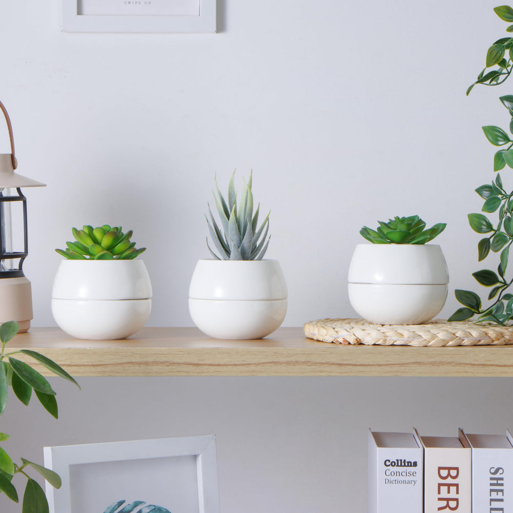 Willowy pot next to a coin for scale showing compact 3.5-inch size ideal for small plants