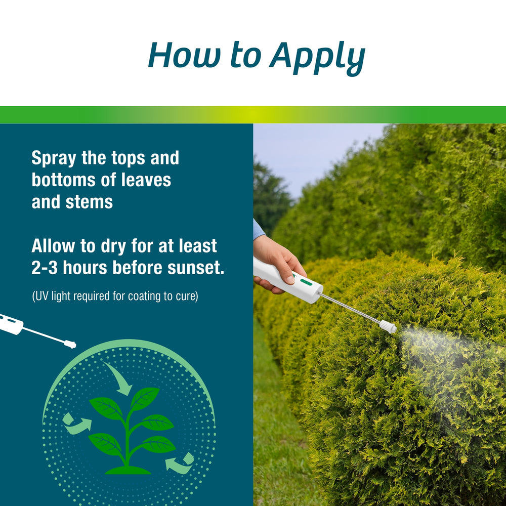 Wilt-Pruf mist pattern landing on leaves providing even coverage and moisture retention