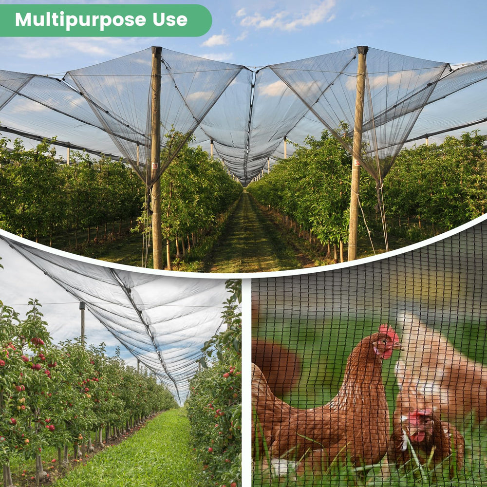 WindscreenSupplyCo lifestyle shot over small orchard showing breathable sunlight protection benefit