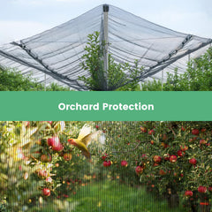 WindscreenSupplyCo netting in use over vegetable bed showing hail and pest protection benefit