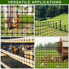 Windyun used to make a chicken run showing controlled poultry area and safety