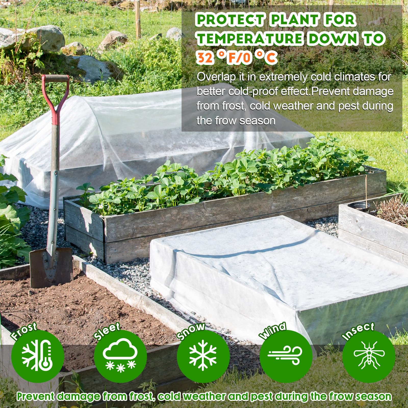 Windyun draped over vegetable row protecting plants from light frost