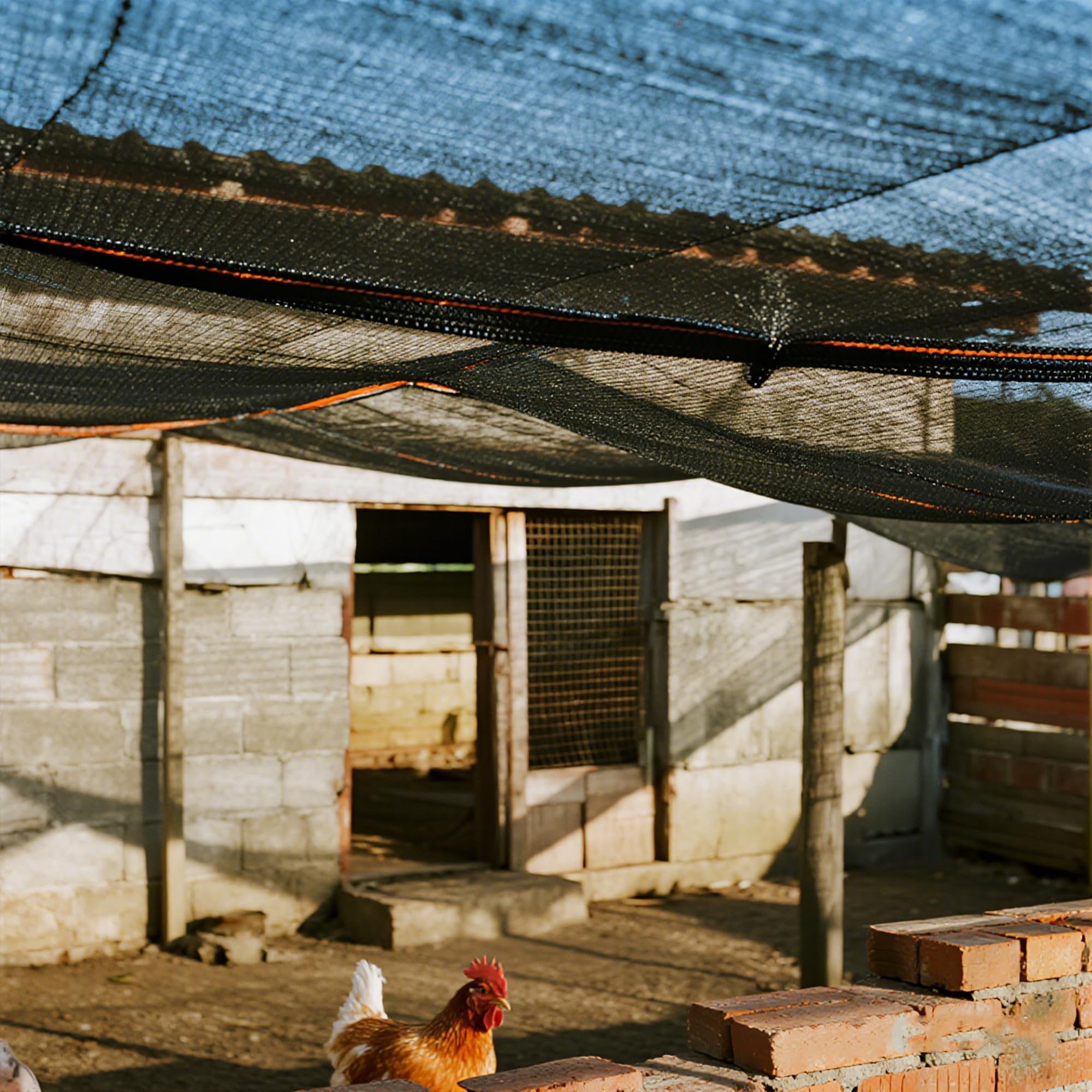 winemana installed over greenhouse reducing sunlight while allowing ventilation