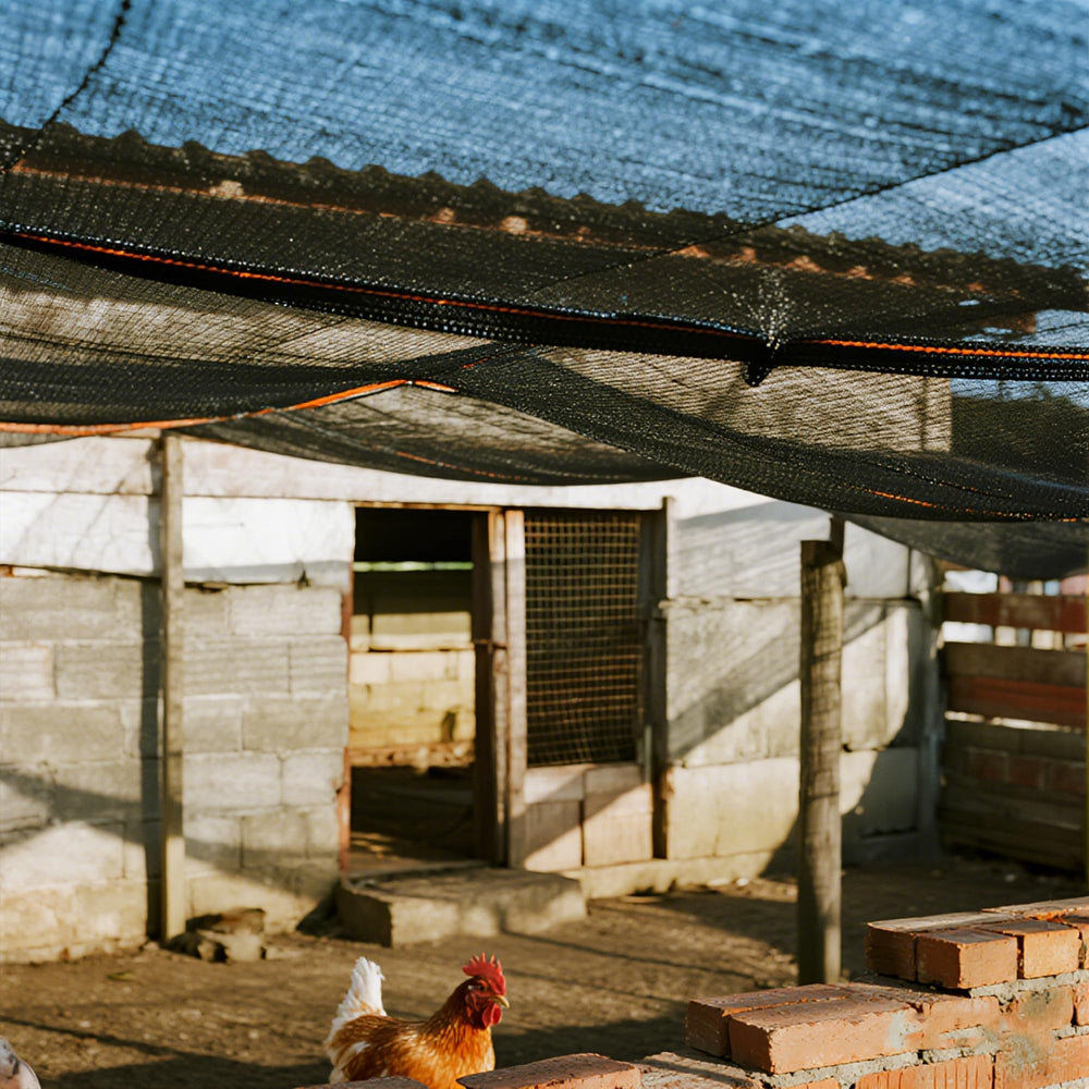 winemana installed over greenhouse reducing sunlight while allowing ventilation