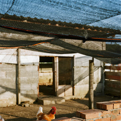 winemana installed over greenhouse reducing sunlight while allowing ventilation