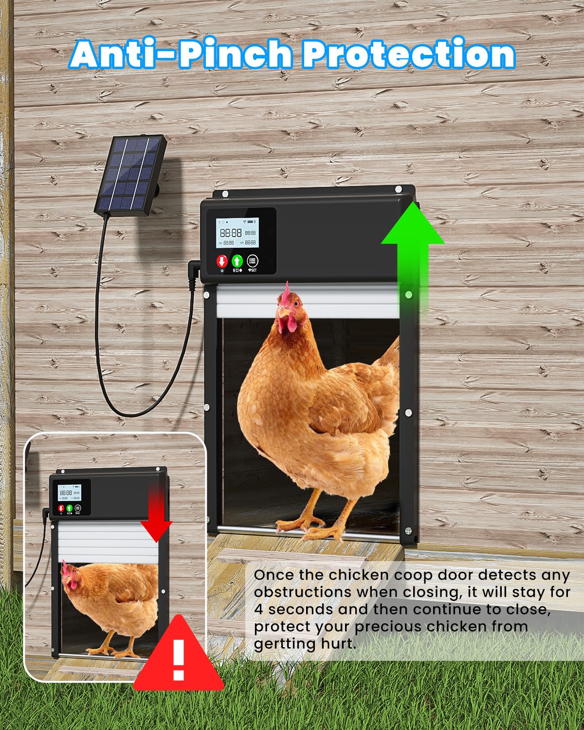 WININMETA size comparison next to a chicken showing scale and fit benefit