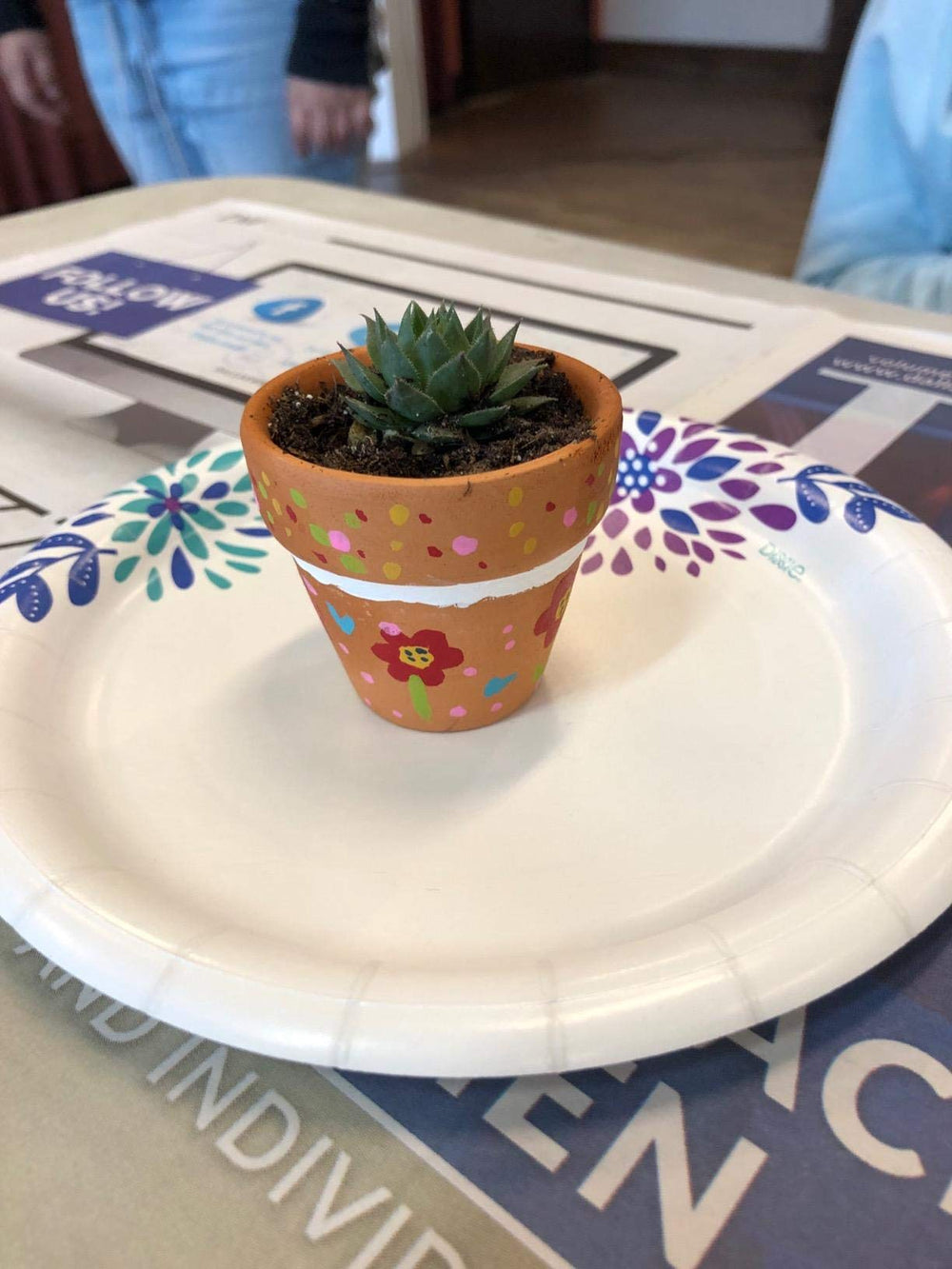 Winlyn painted mini pots as craft project demonstrating customization potential