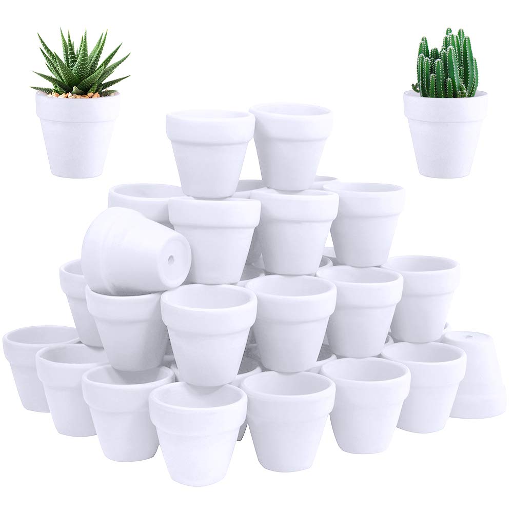 Winlyn front view of 60 white mini pots showing uniform finish and quantity benefit