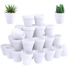 Winlyn front view of 60 white mini pots showing uniform finish and quantity benefit