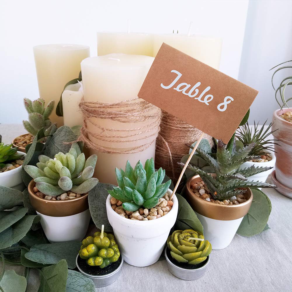 Winlyn painted pots arranged as wedding favors showing customization benefit