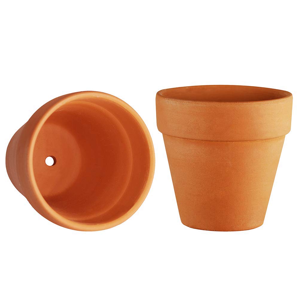 Winlyn pot in hand showing 2-inch scale for sizing clarity and planting planning