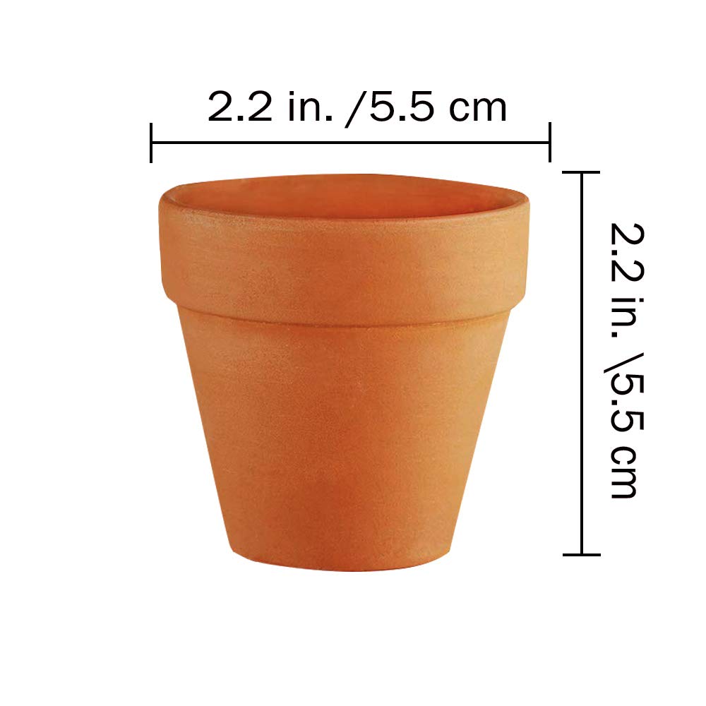 Winlyn top view showing drainage hole that ensures excess water exits pot
