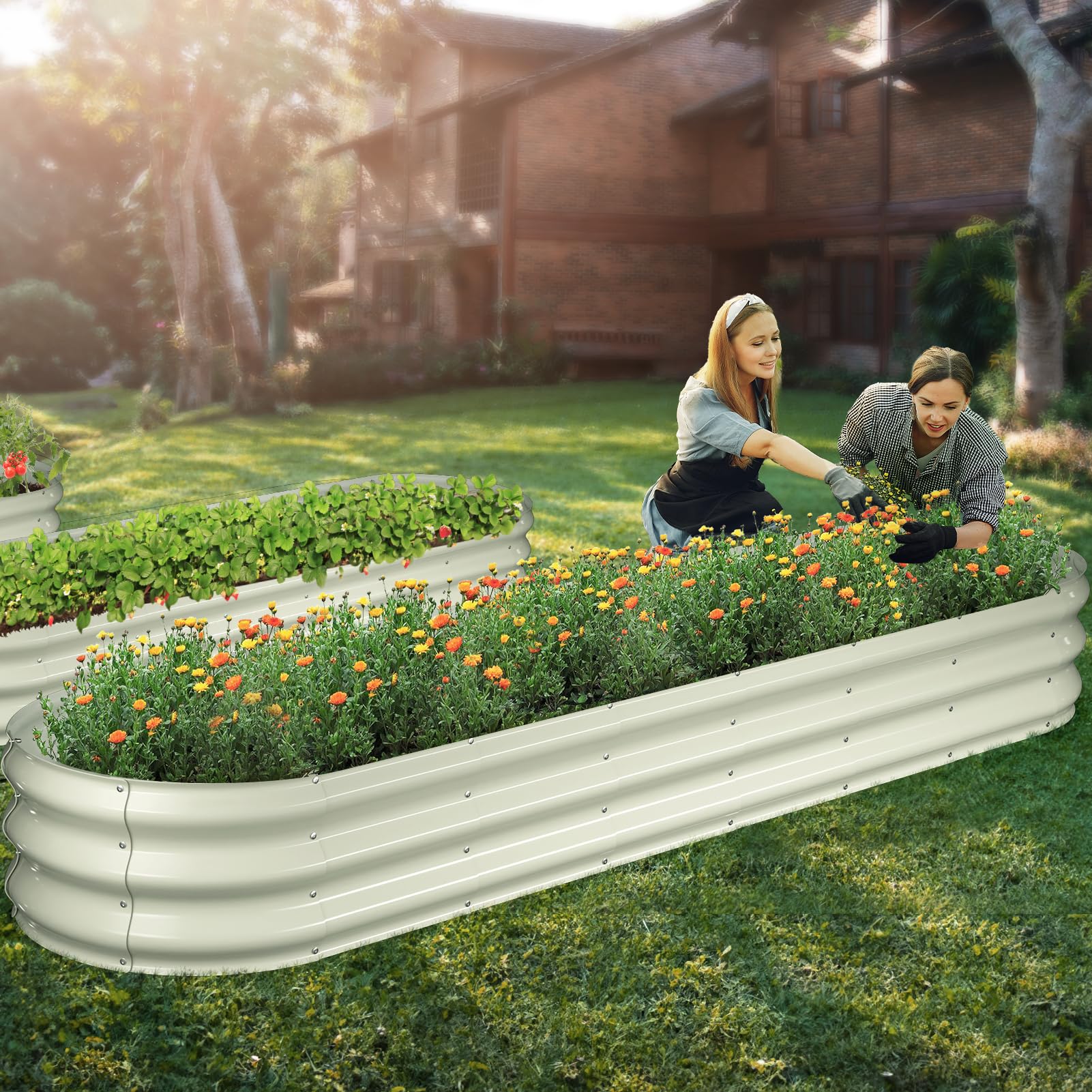 Winpull size comparison with ruler and tools showing scale and planting capacity