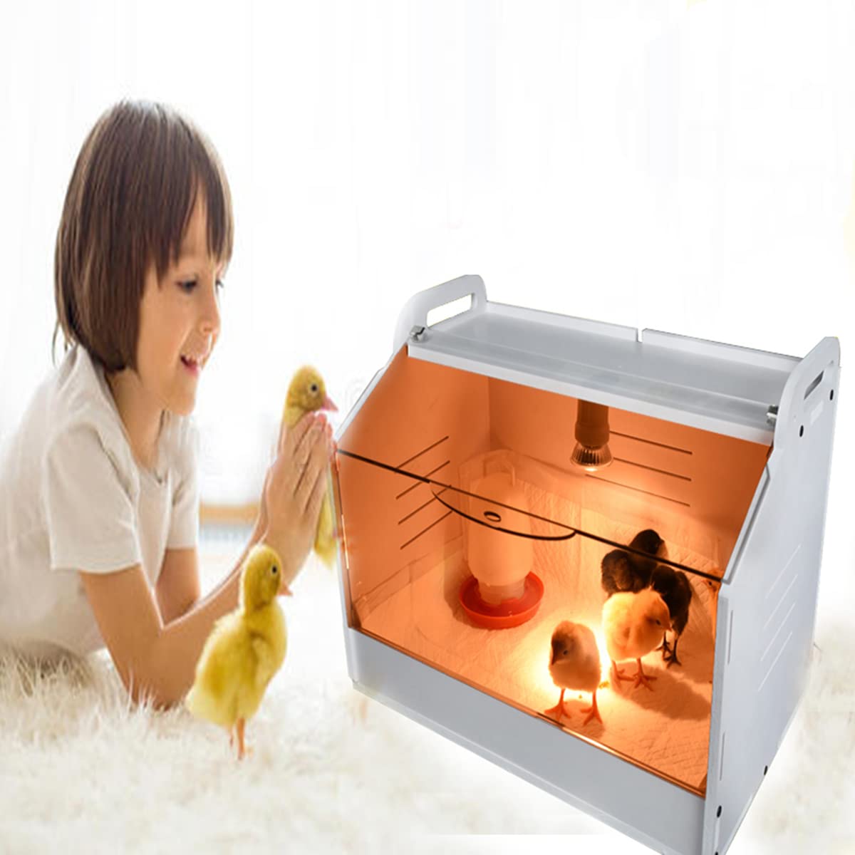 WIONBE included feeders waterer and spare bulbs ready for immediate brooding