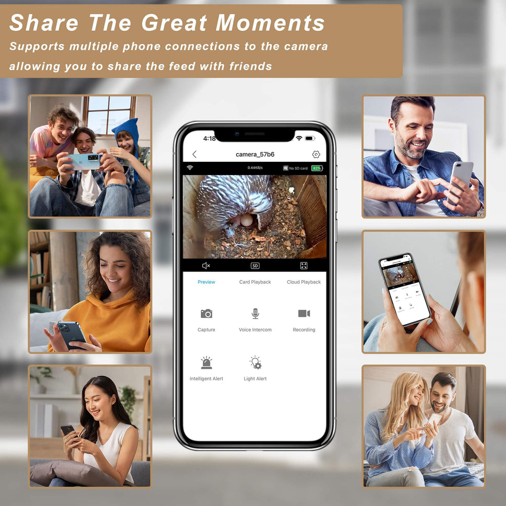 WISDOMRAINBOW app live stream screenshot showing real-time footage and motion alerts