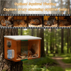 WISDOMRAINBOW camera lens close-up for 1080p clarity to record squirrel behavior