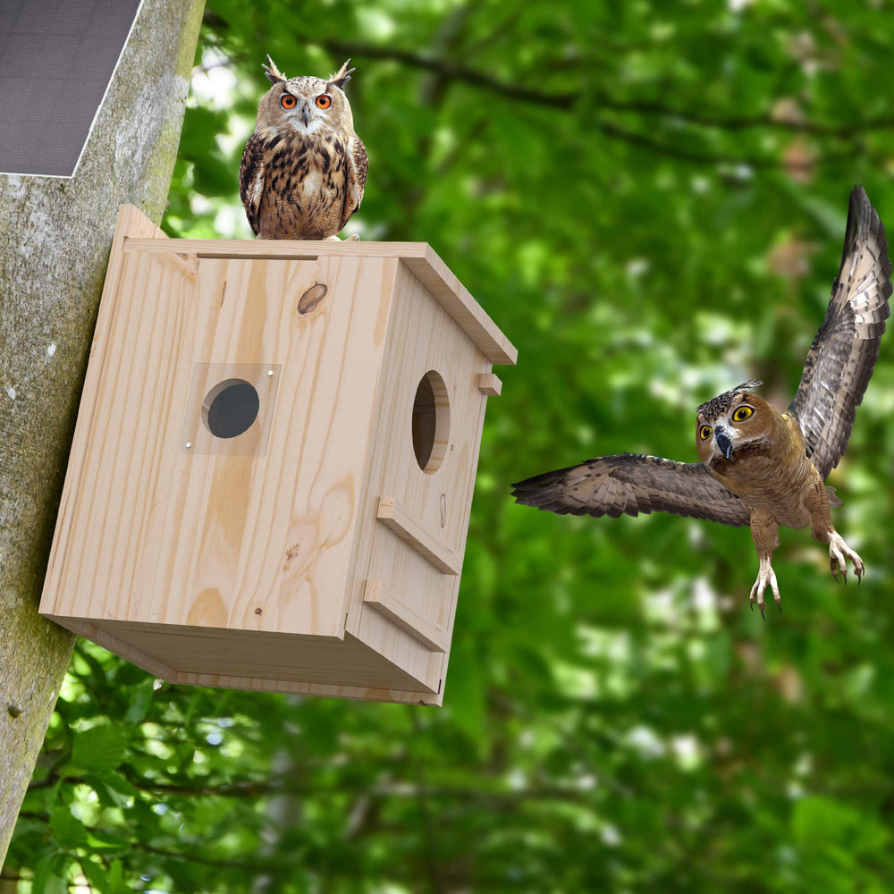 WISDOMRAINBOW entry hole size photo showing 4-inch opening that deters predators
