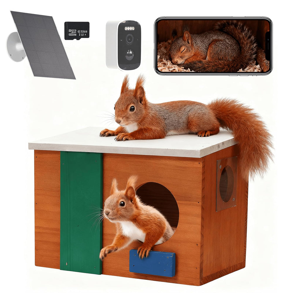 WISDOMRAINBOW front view of squirrel house showing natural wood and camera, inviting observation