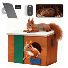 WISDOMRAINBOW front view of squirrel house showing natural wood and camera, inviting observation