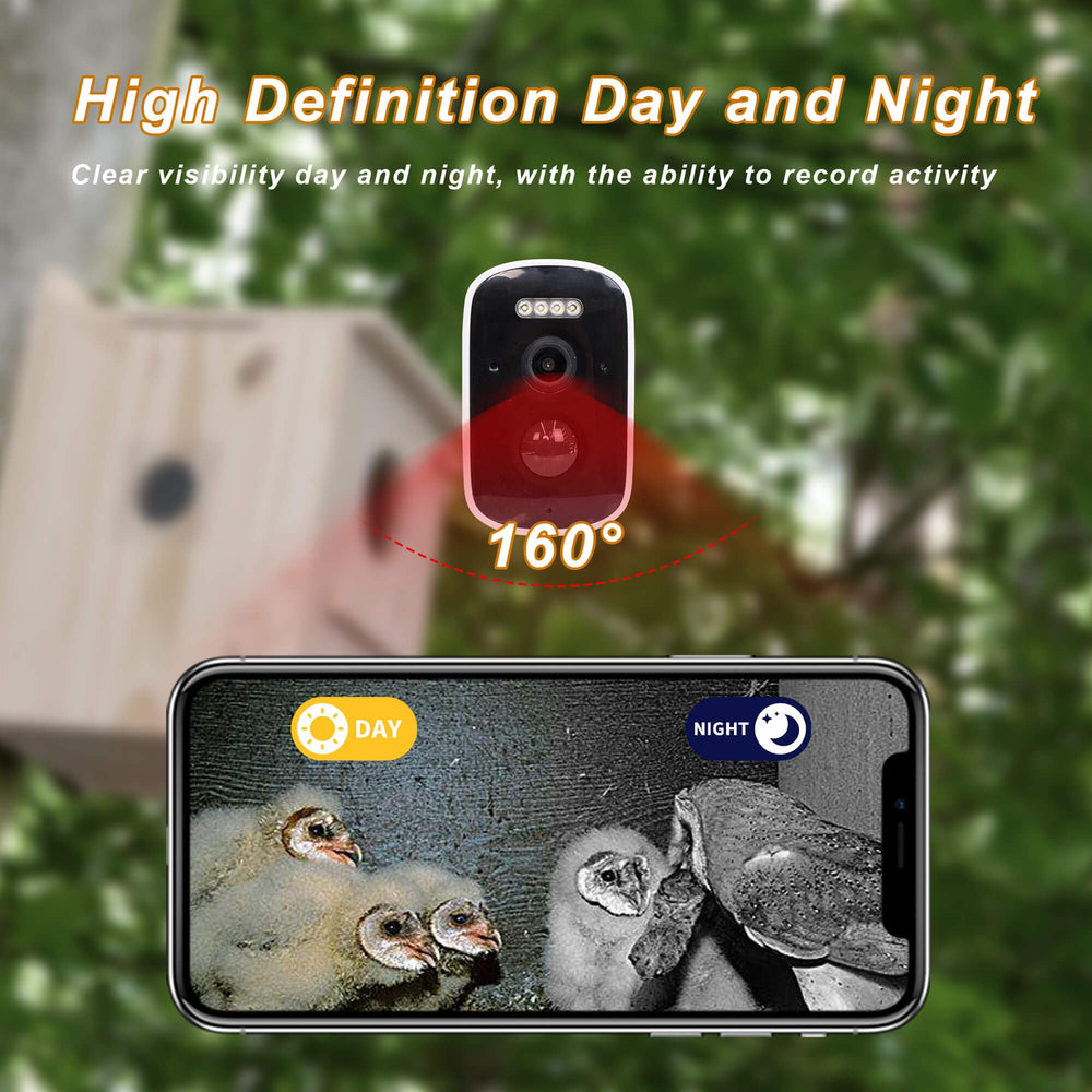 WISDOMRAINBOW night view infrared demo capturing owls after dark for round-the-clock observation