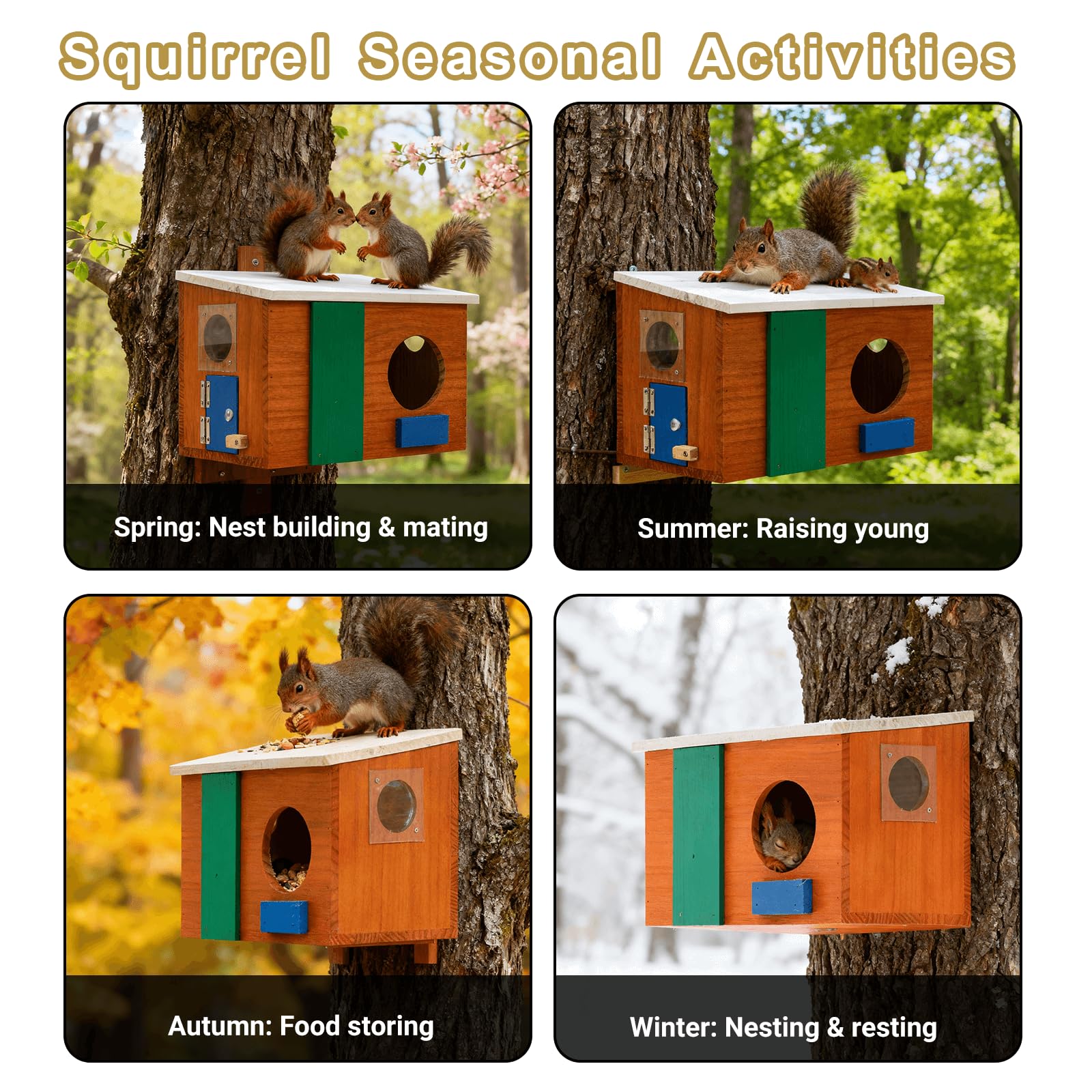 WISDOMRAINBOW weatherproof coating detail protecting wood against rain and outdoor wear