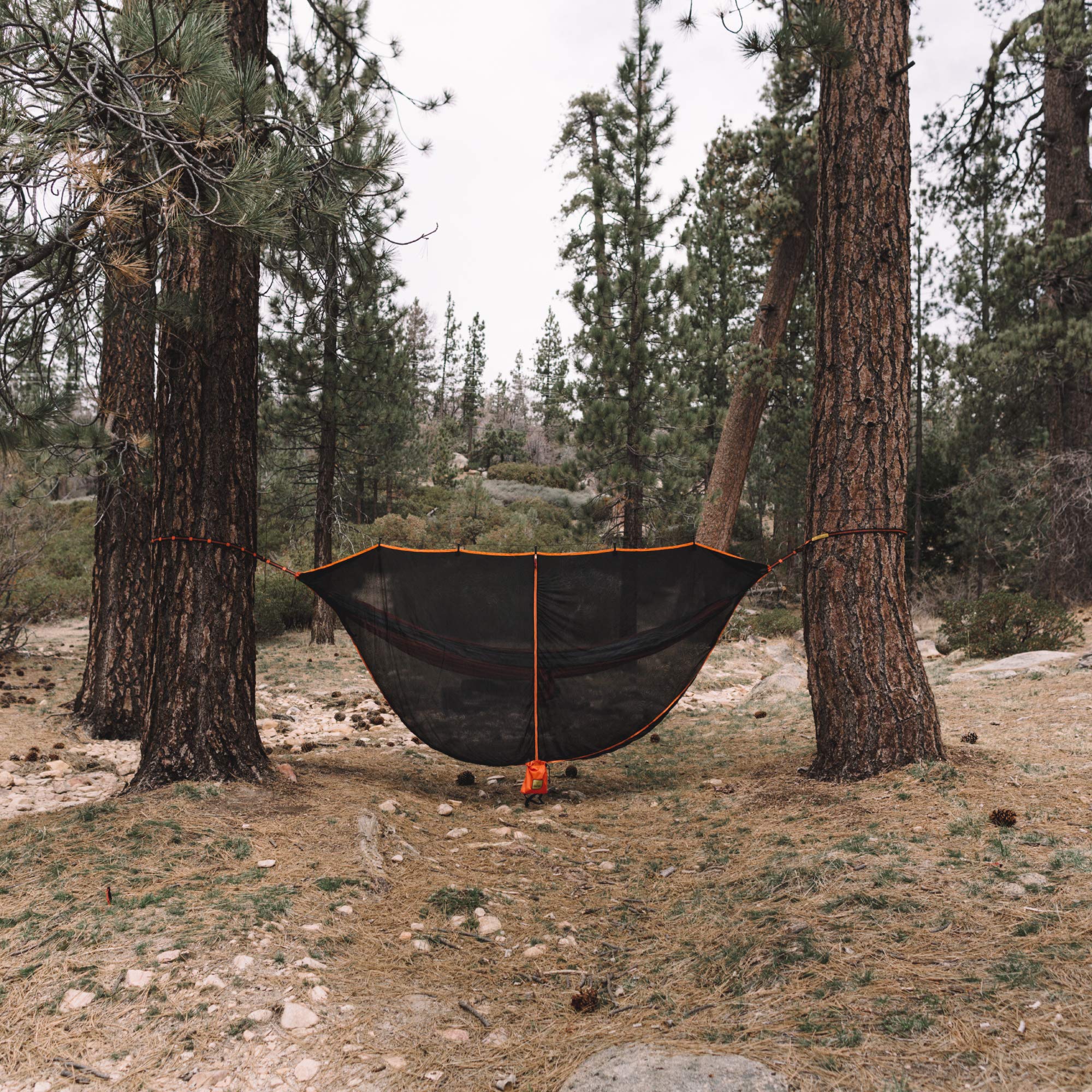 Wise Owl Outfitters SnugNet next to water bottle showing lightweight packable size