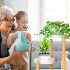 Wisuce plant stand in living room corner creating attractive plant display