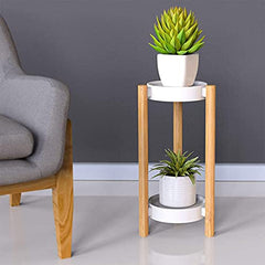 Wisuce detail of a potted plant on the stand demonstrating stable holder design
