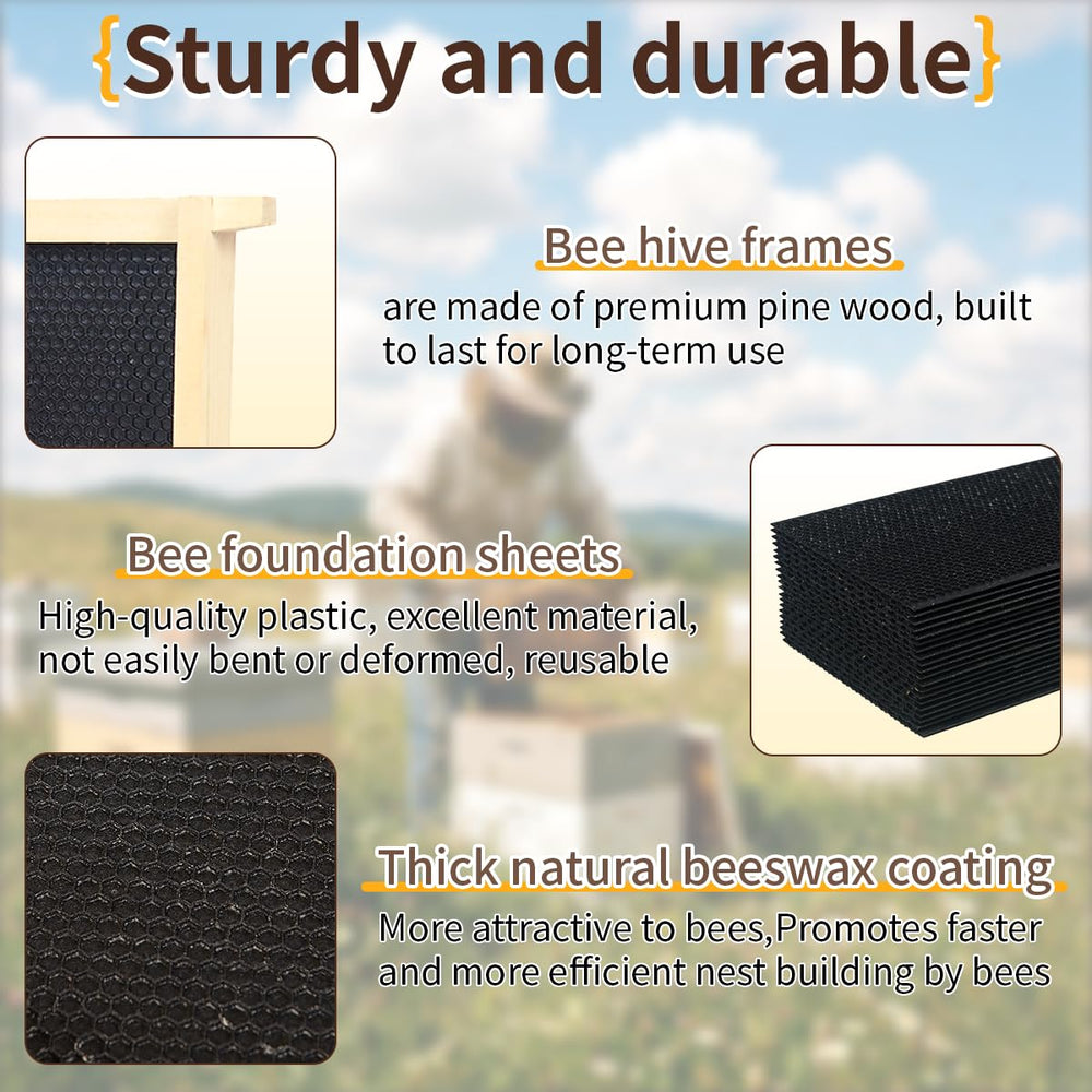 witbee close-up of beeswax-coated foundation texture encouraging fast comb draw