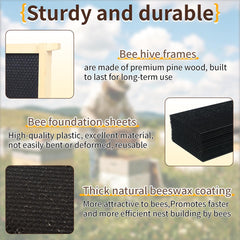 witbee close-up of beeswax-coated foundation texture encouraging fast comb draw